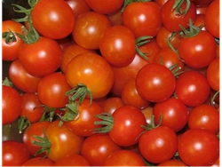 Tomate Cherry x 100 grs