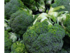 Brocoli