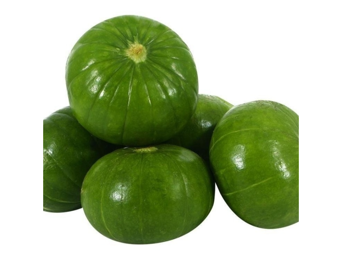 Zapallito Redondo x cajon