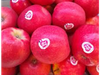 Manzana Pink Lady premiun