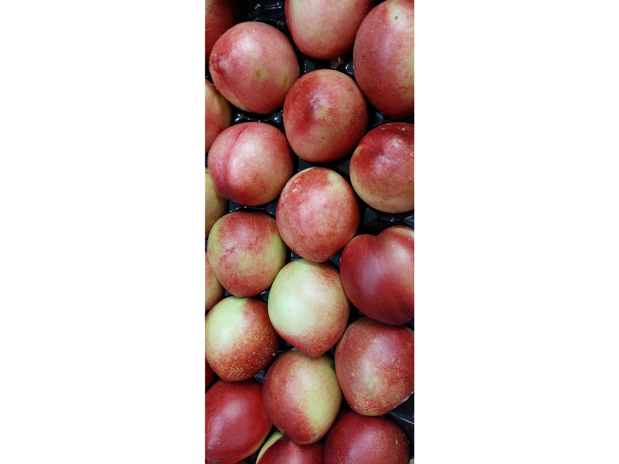 Pelon amarillo premiun x 1/2kg