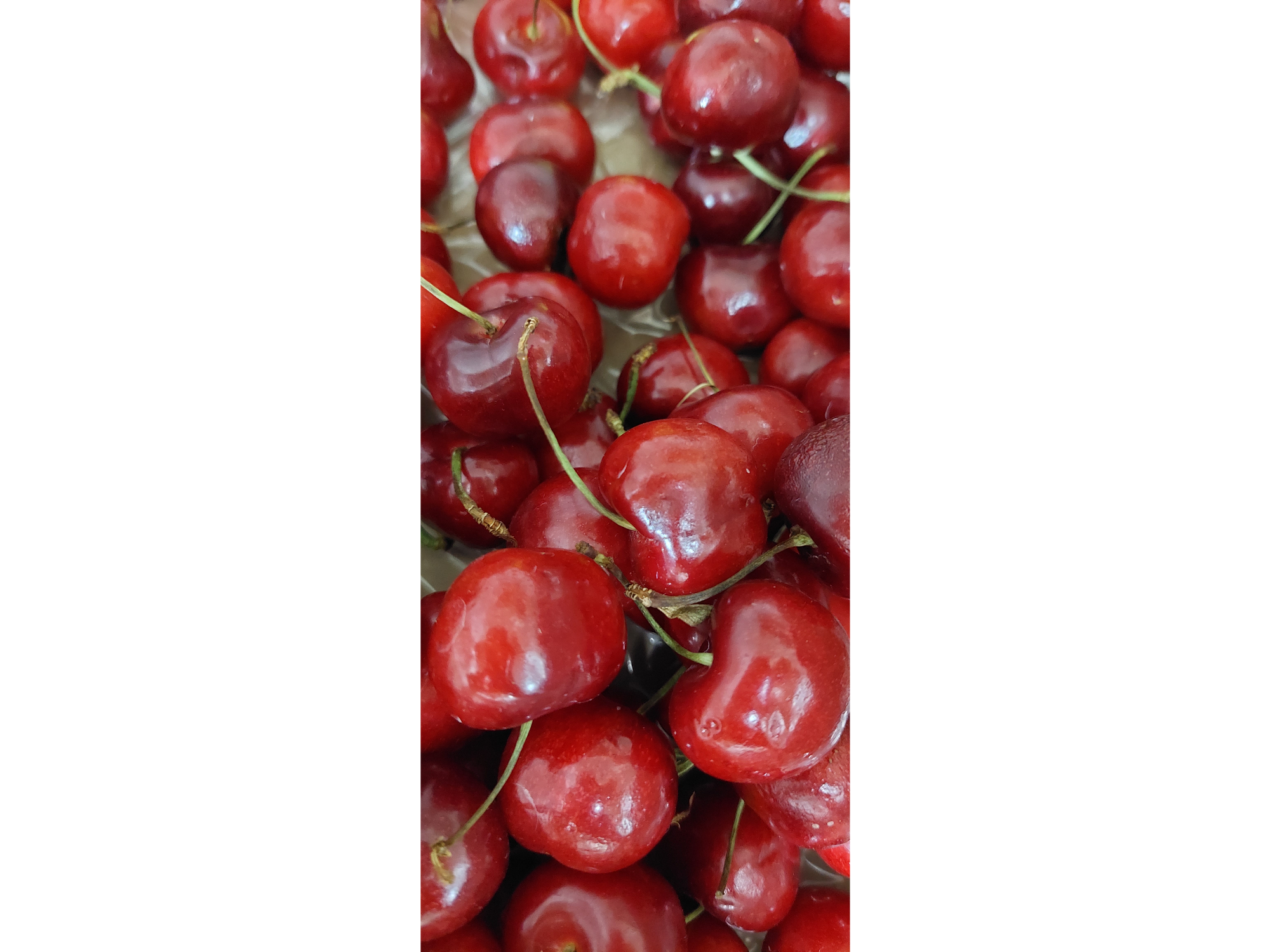 Cereza x 100grs premiun