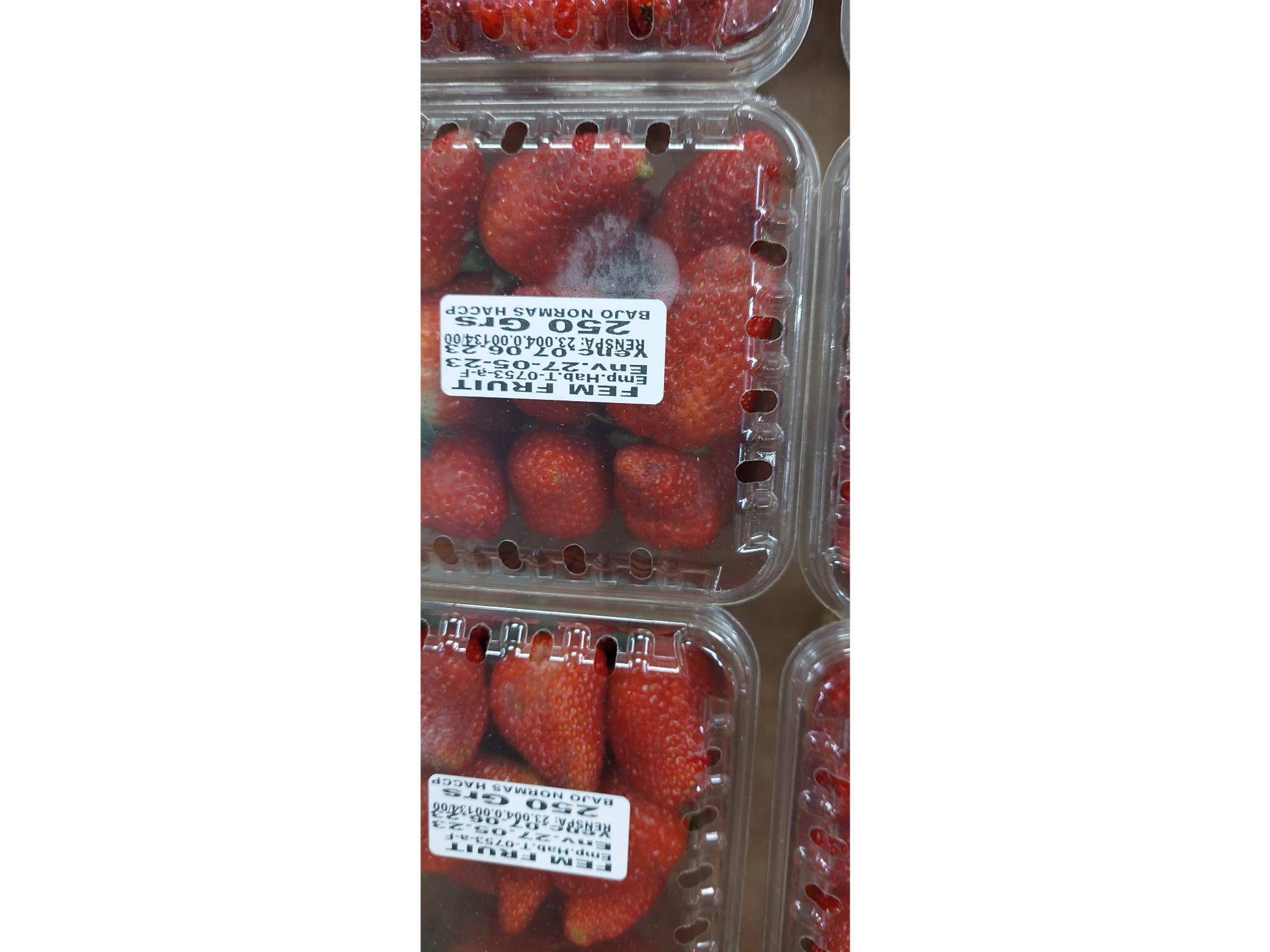 frutilla cajita x 250grs aprox
