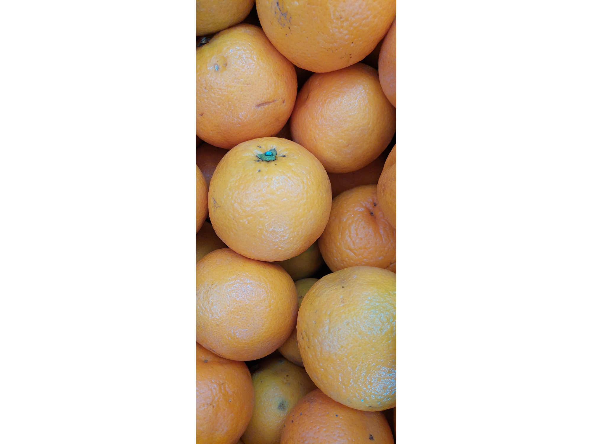 Naranja Jugo