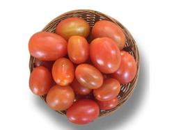 Tomate perita invernadero mediano