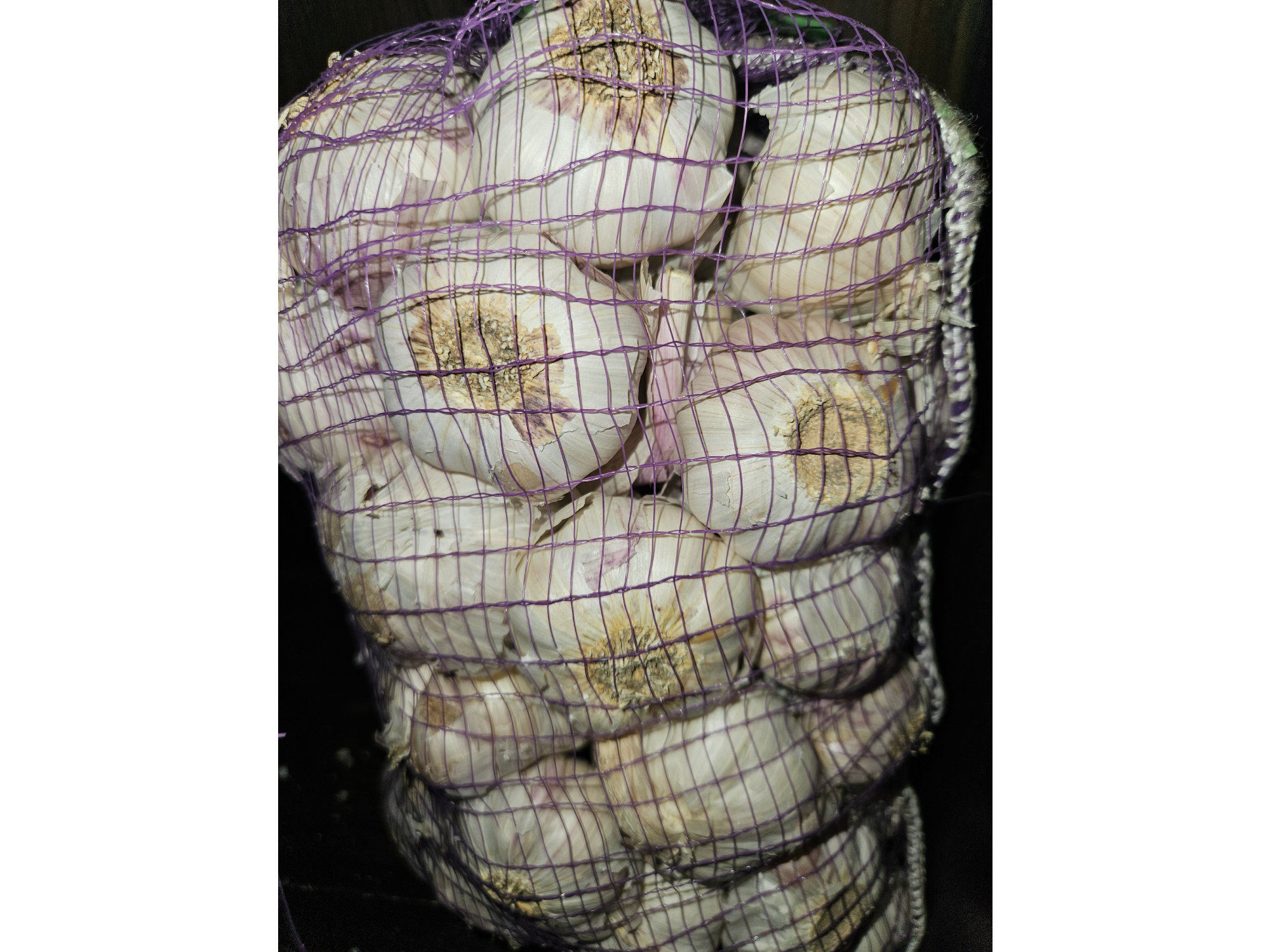 Ajo chico de Yorch´s