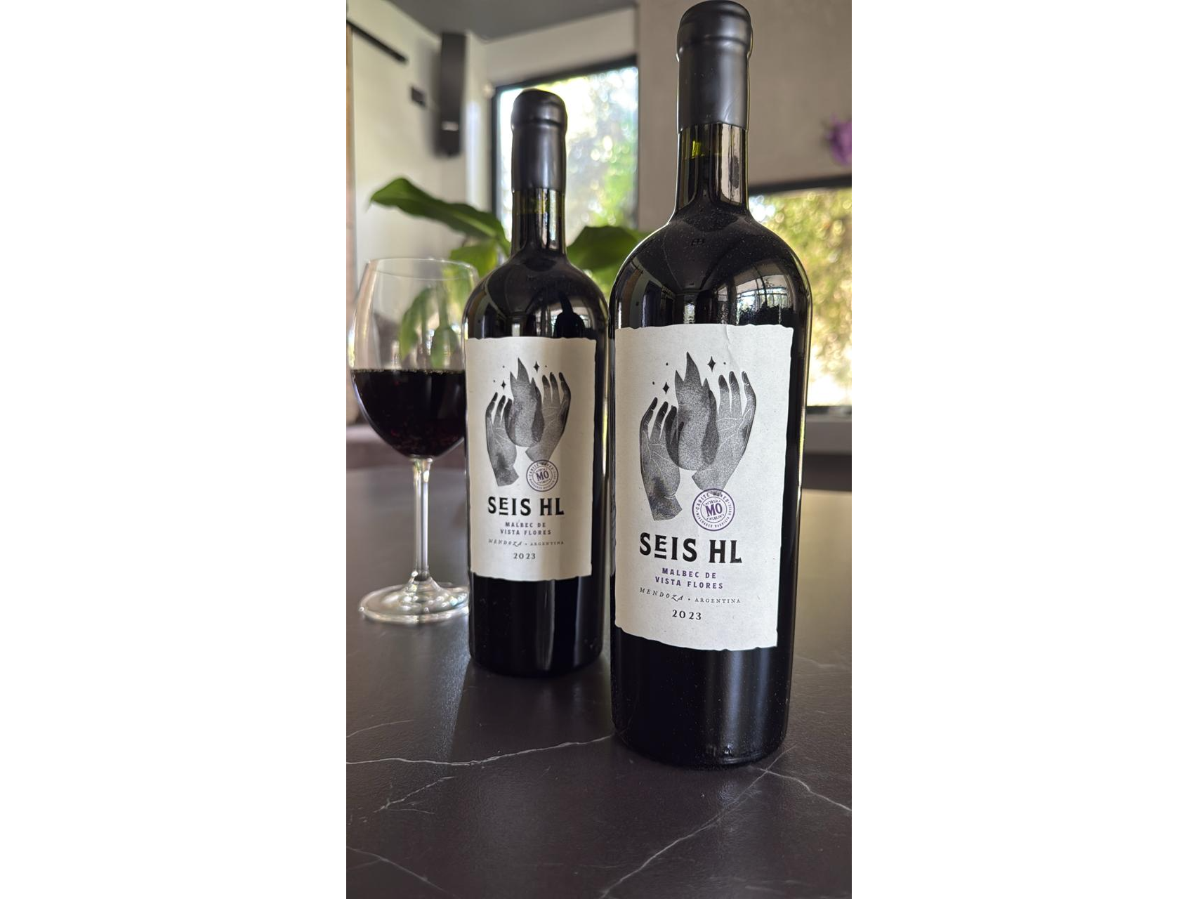 Seis HL - Malbec de Vista Flores