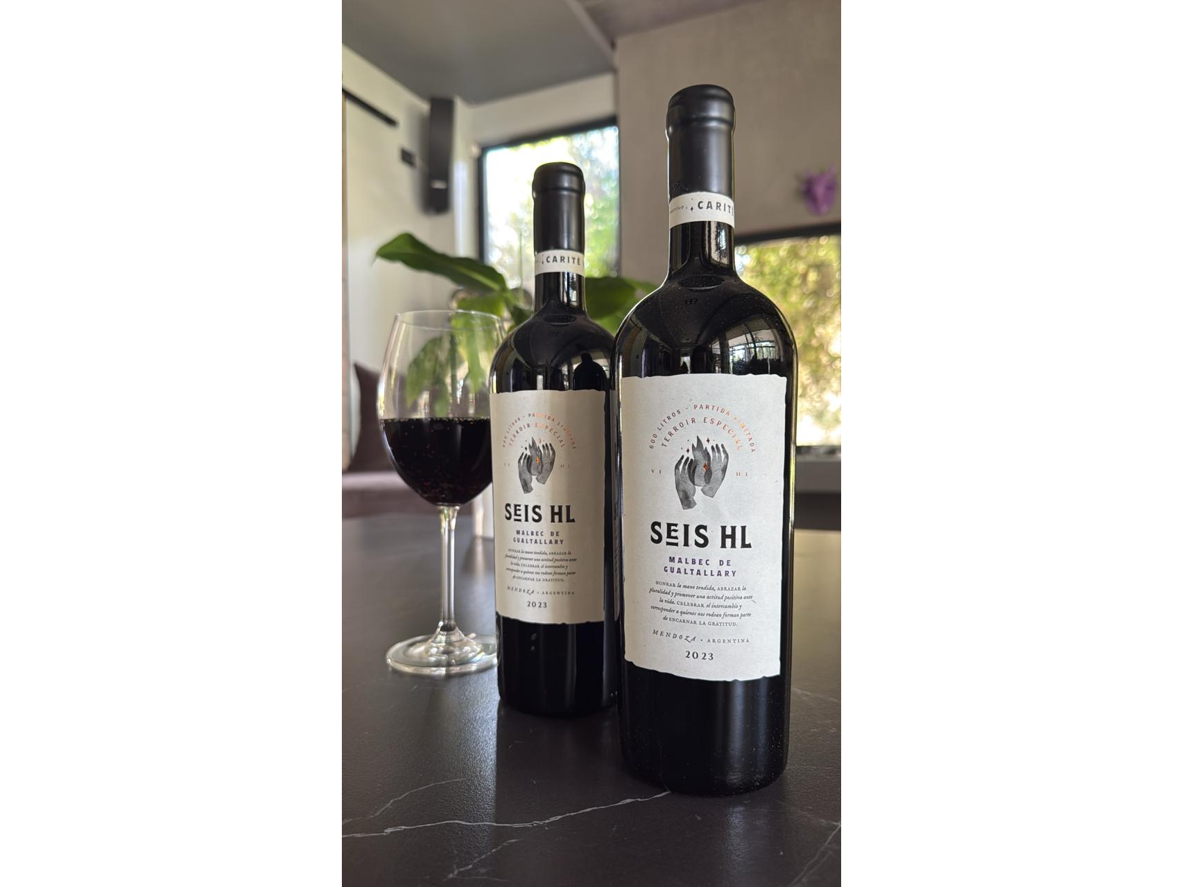 Seis HL - Malbec de Gualtallary