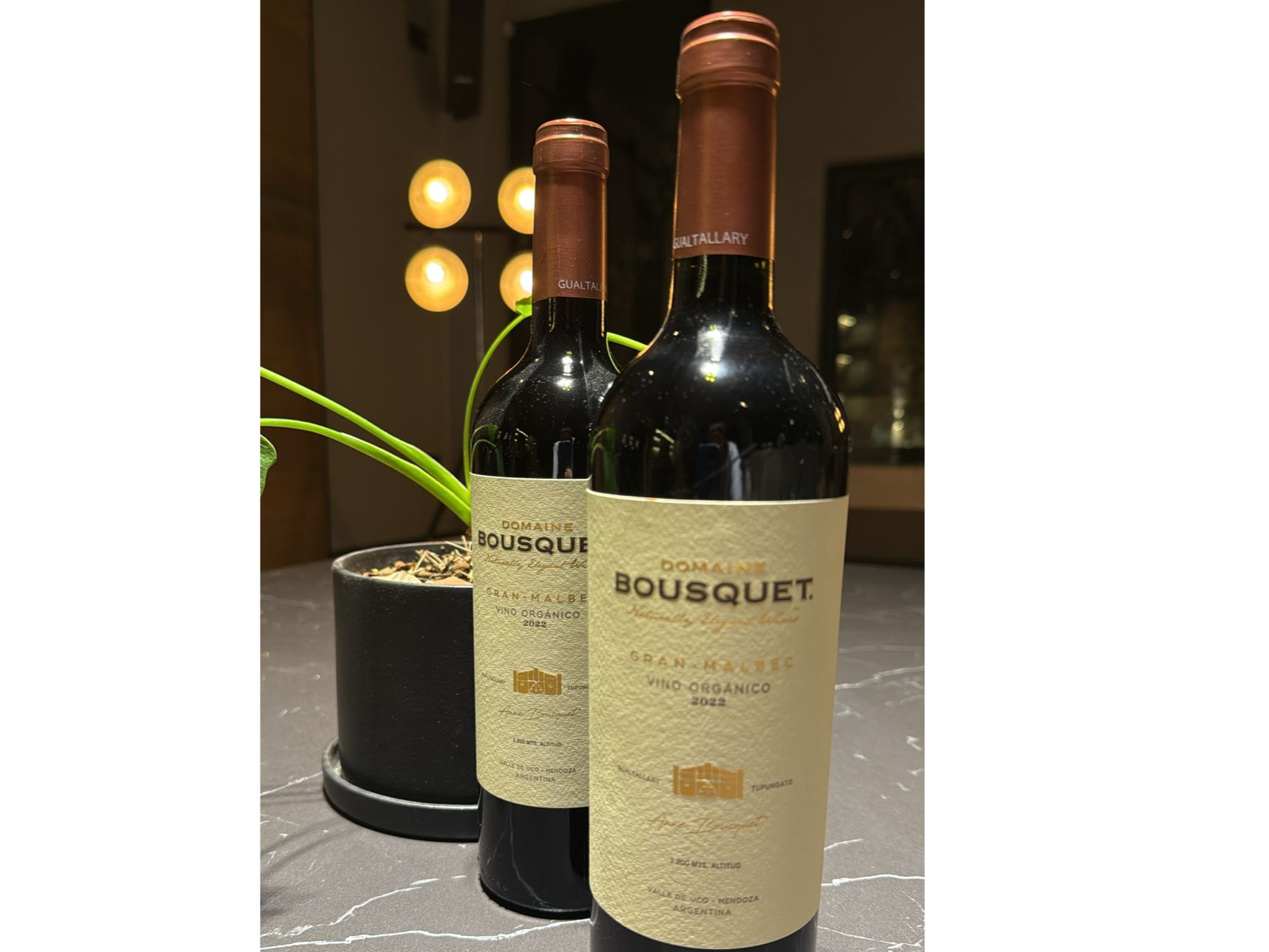 Domain Bousquet - Malbec