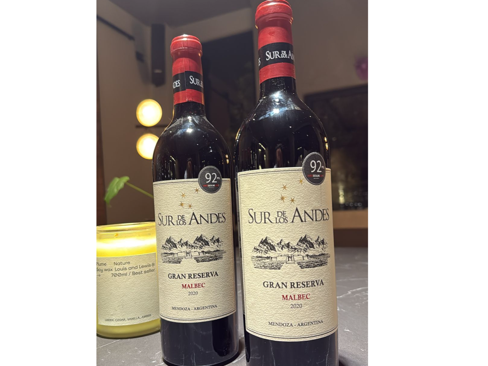 Sur de los Andes - Malbec