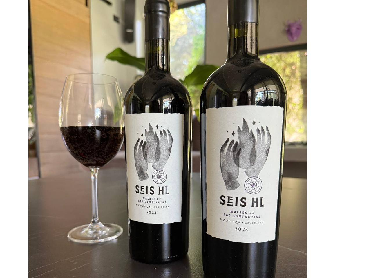 Seis HL - Malbec de las Compuertas de Veinte Minutos