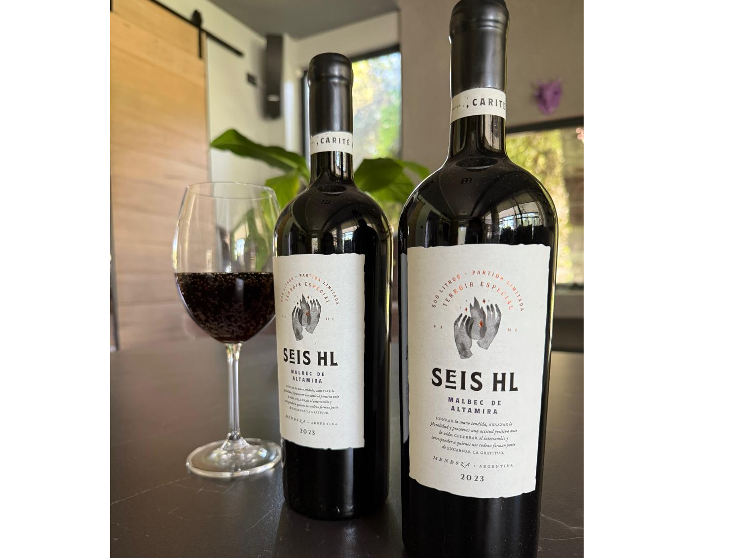 Seis HL - Malbec de Altamira de Veinte Minutos