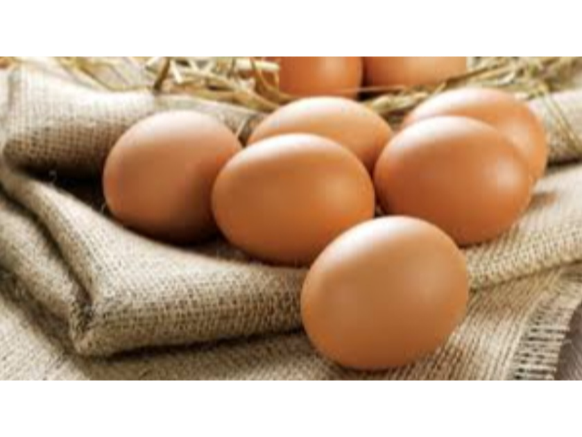 Huevos agroecoĺogicos