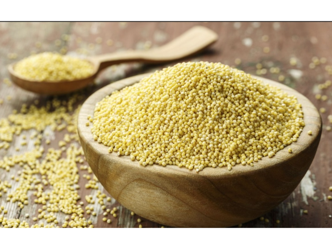 Mijo orgánico Sabe La Tierra