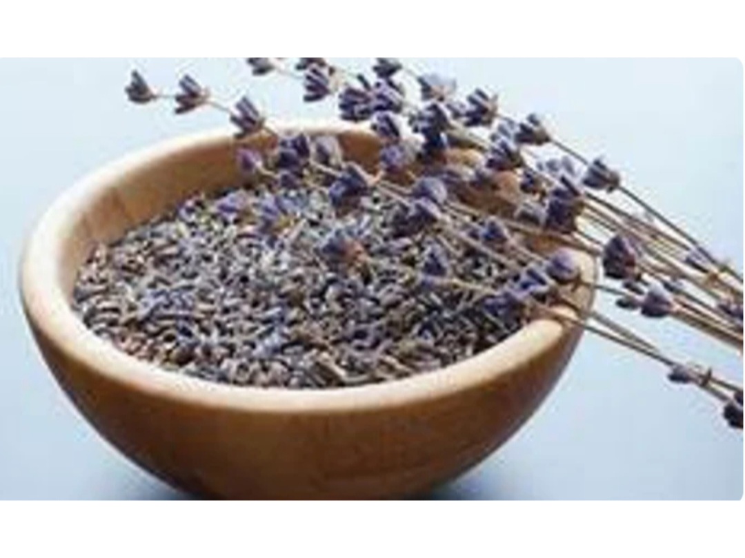 Lavanda
