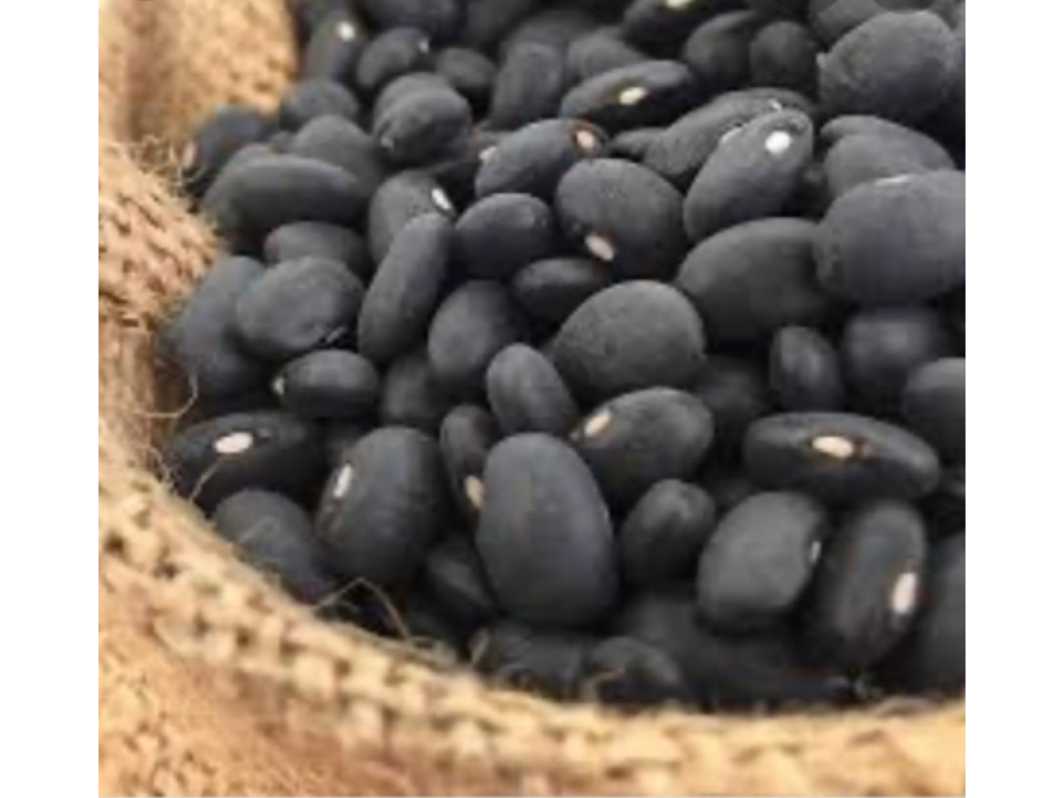Poroto negro orgánico