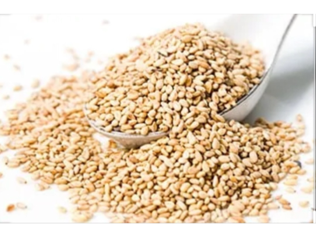 Semillas de Sésamo orgánicas