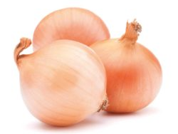 Cebolla