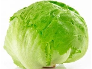 Lechuga repollada