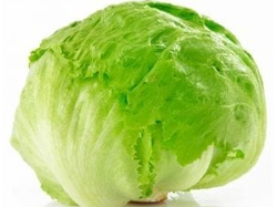 Lechuga repollada