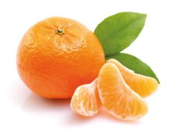 Mandarina Criolla