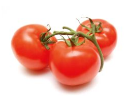 Tomate redondo CHILENO