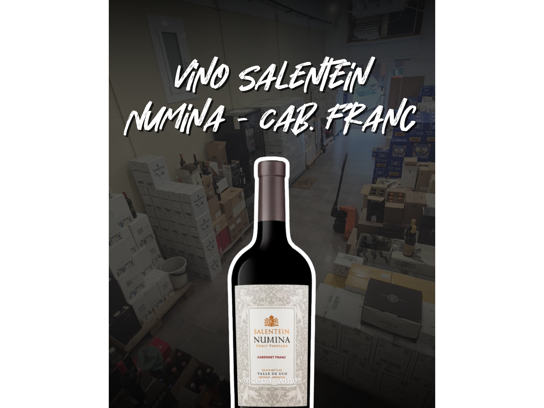 Salentein numina cabernet franc