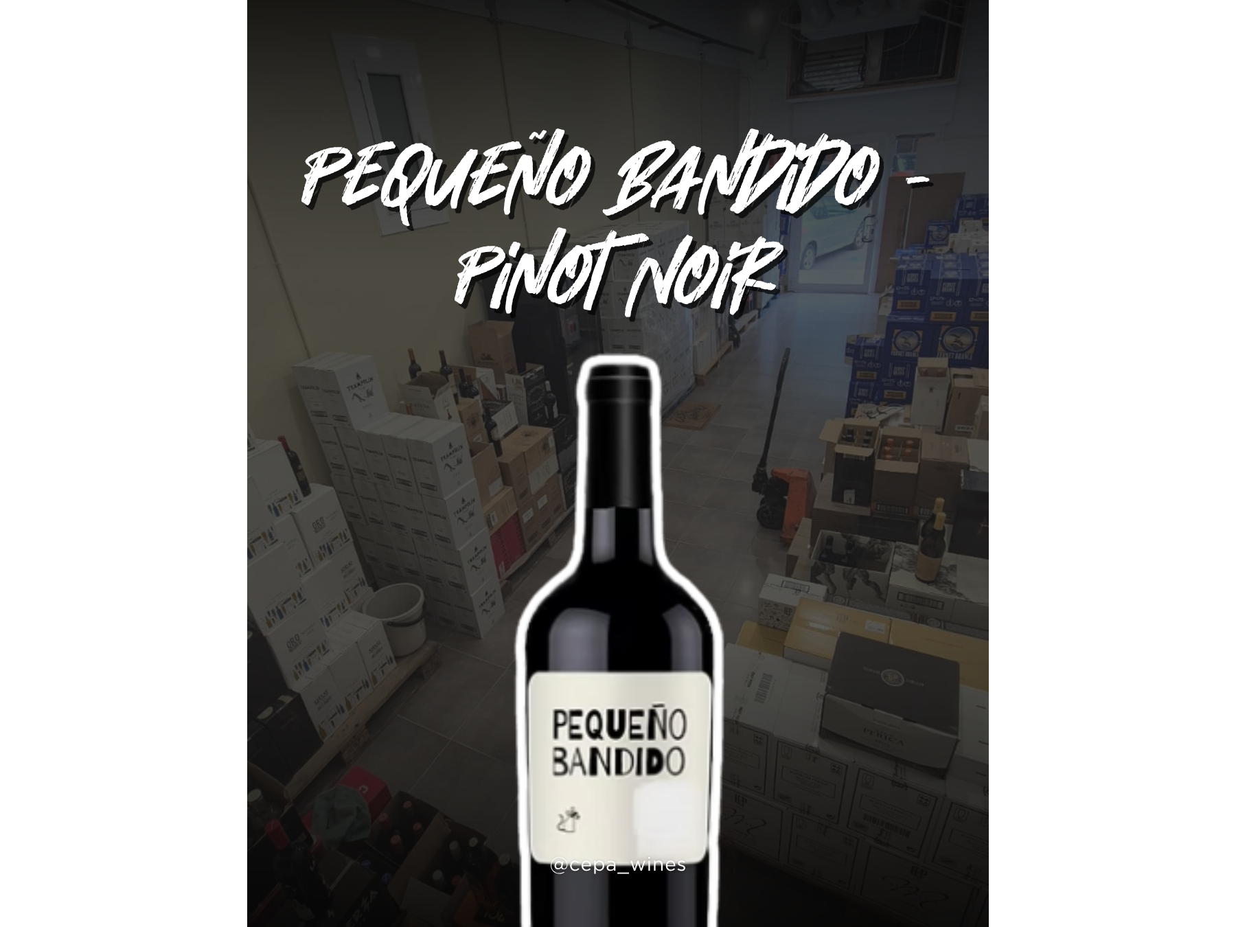 Pequeño bandido pinot noir