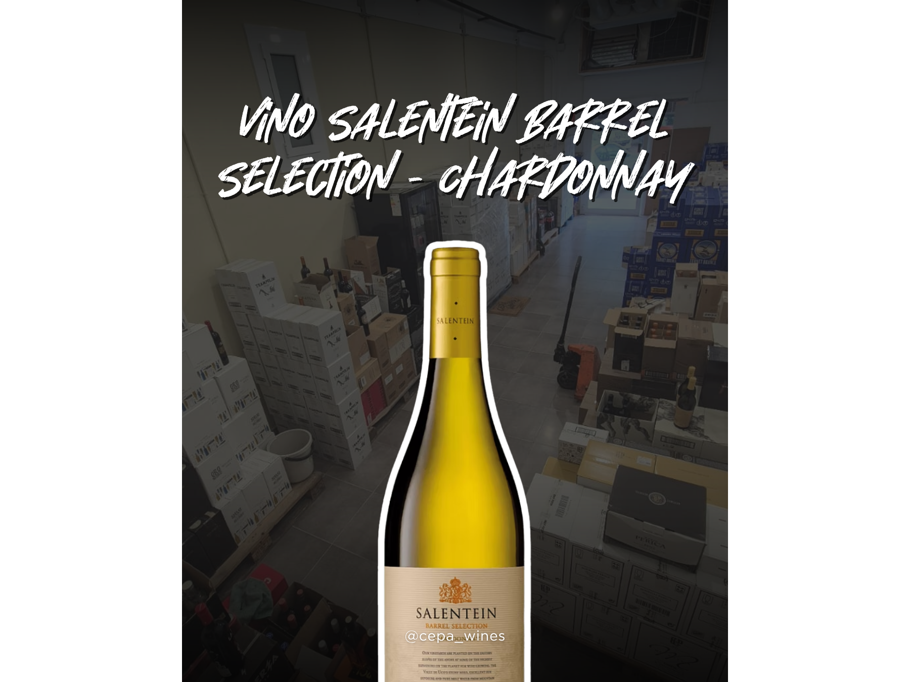 Salentein barrel selection chardonnay