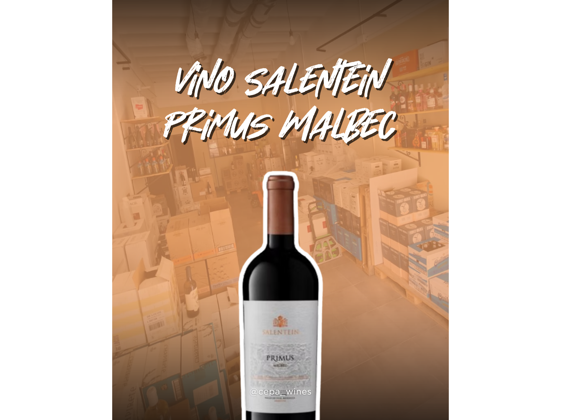 Salentein primus malbec