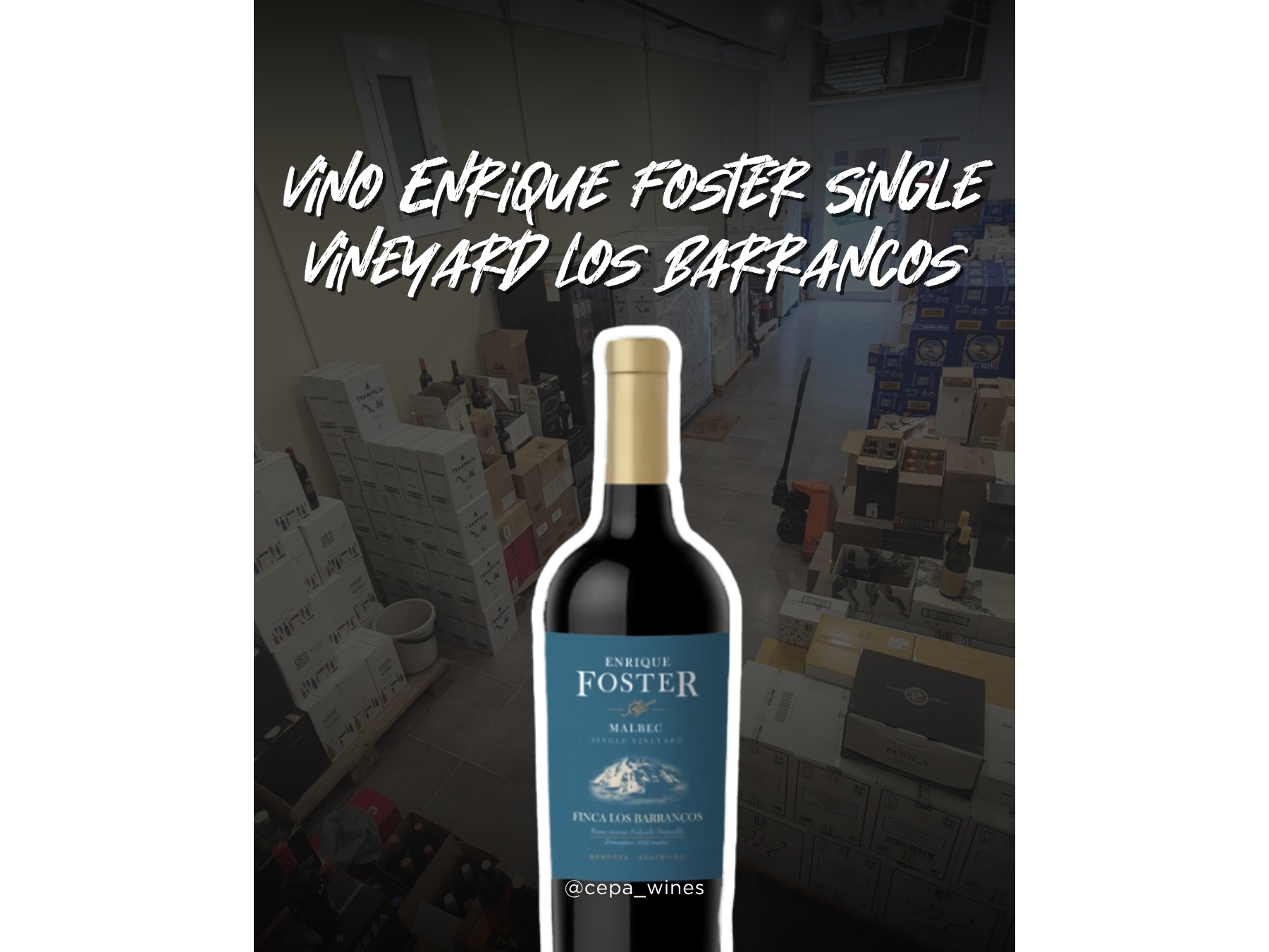 Enrique foster  Los barrancos malbec (single vineyard)