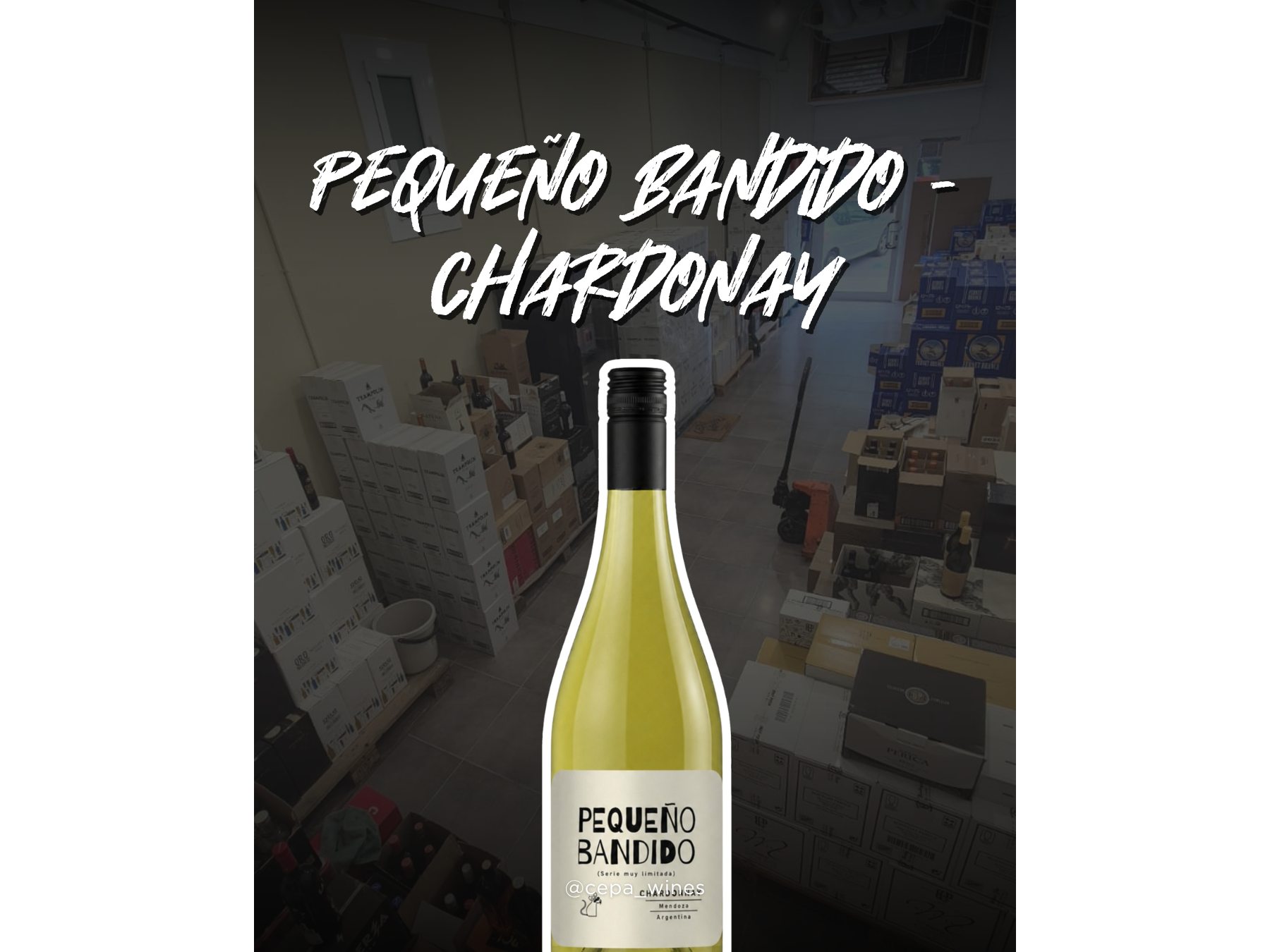 Pequeño bandido chardonnay