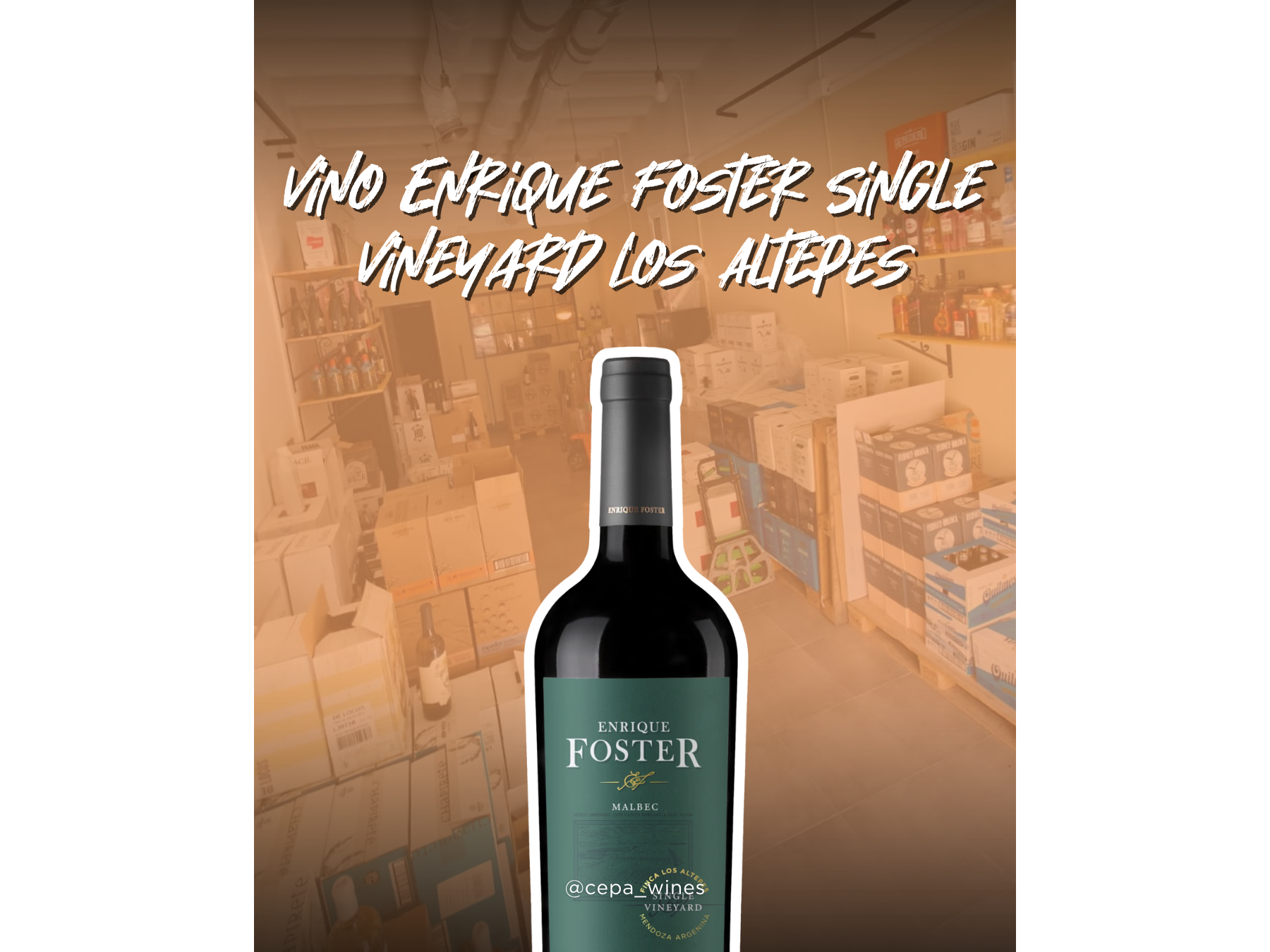 Enrique foster Los altepes malbec (single vineyard)