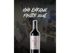Enrique foster IQUE malbec