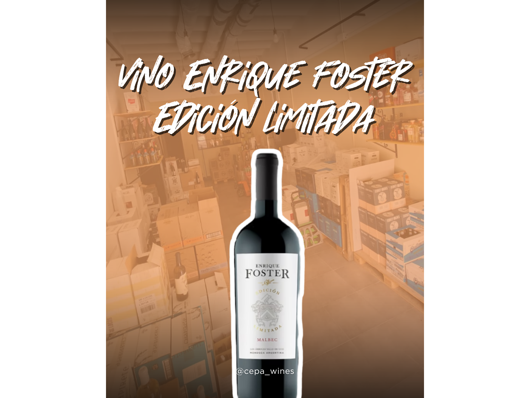 Enrique foster edición limitada malbec
