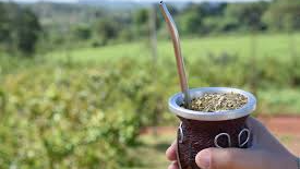 YERBA MATE