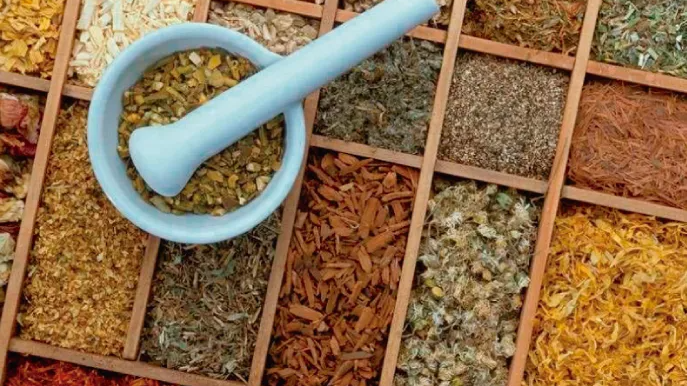 Herboristeria, Botanicos, Hierbas, etc