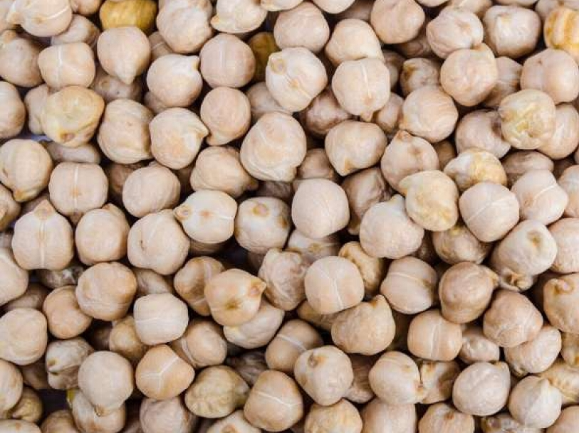 Garbanzo