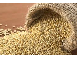 Quinoa Real (Bolivia)