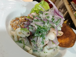 Ceviche Rubio