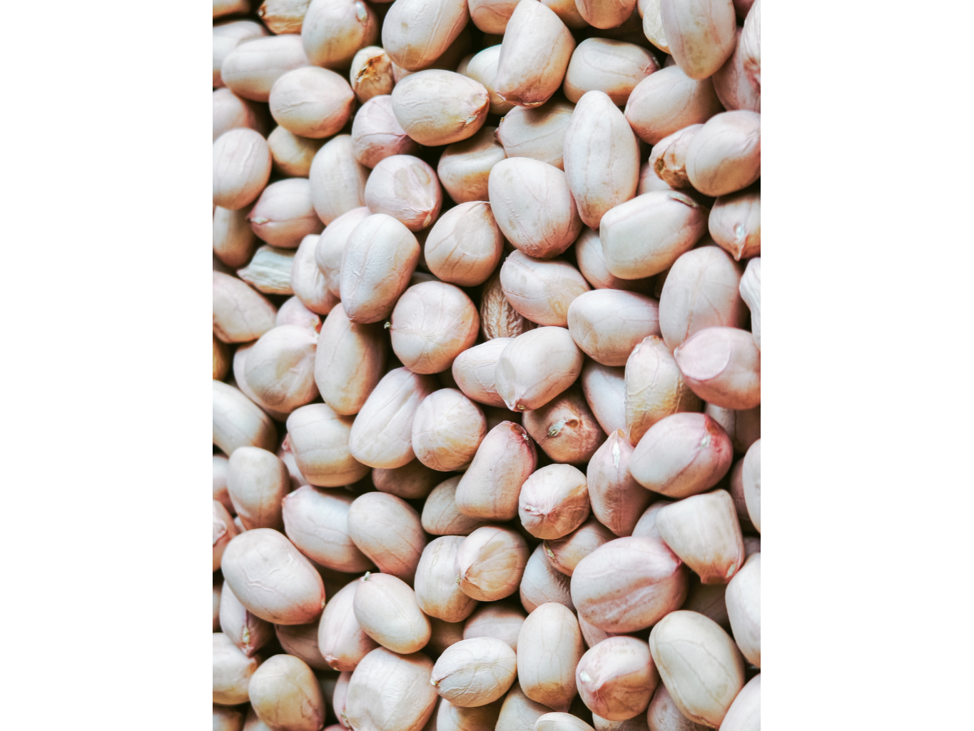 Maní crudo