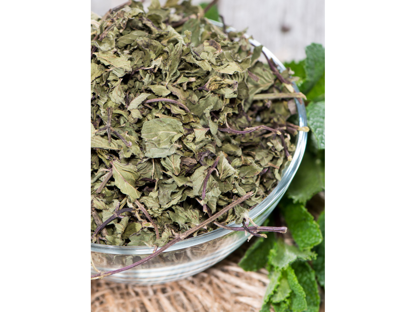 Menta