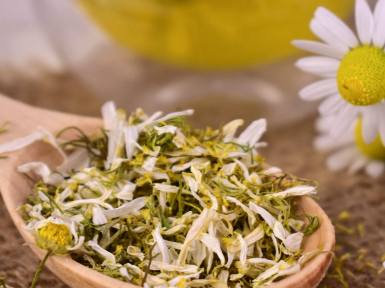 Manzanilla en flor