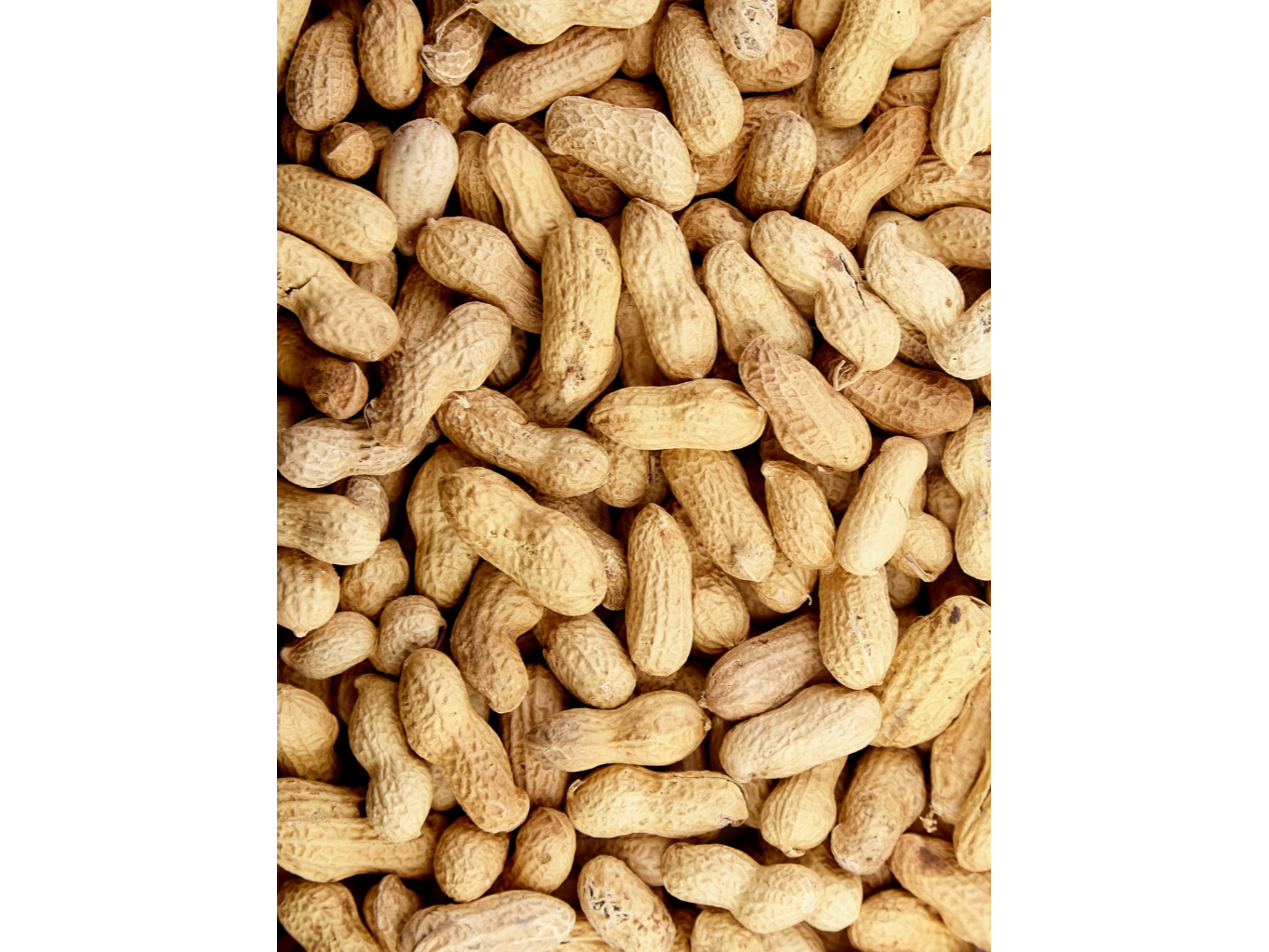 Maní con cascara