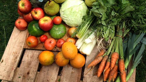 Frutas y verduras orgánicas / agroecológicas