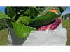 Bolsón 7k de verduras agroecológicas