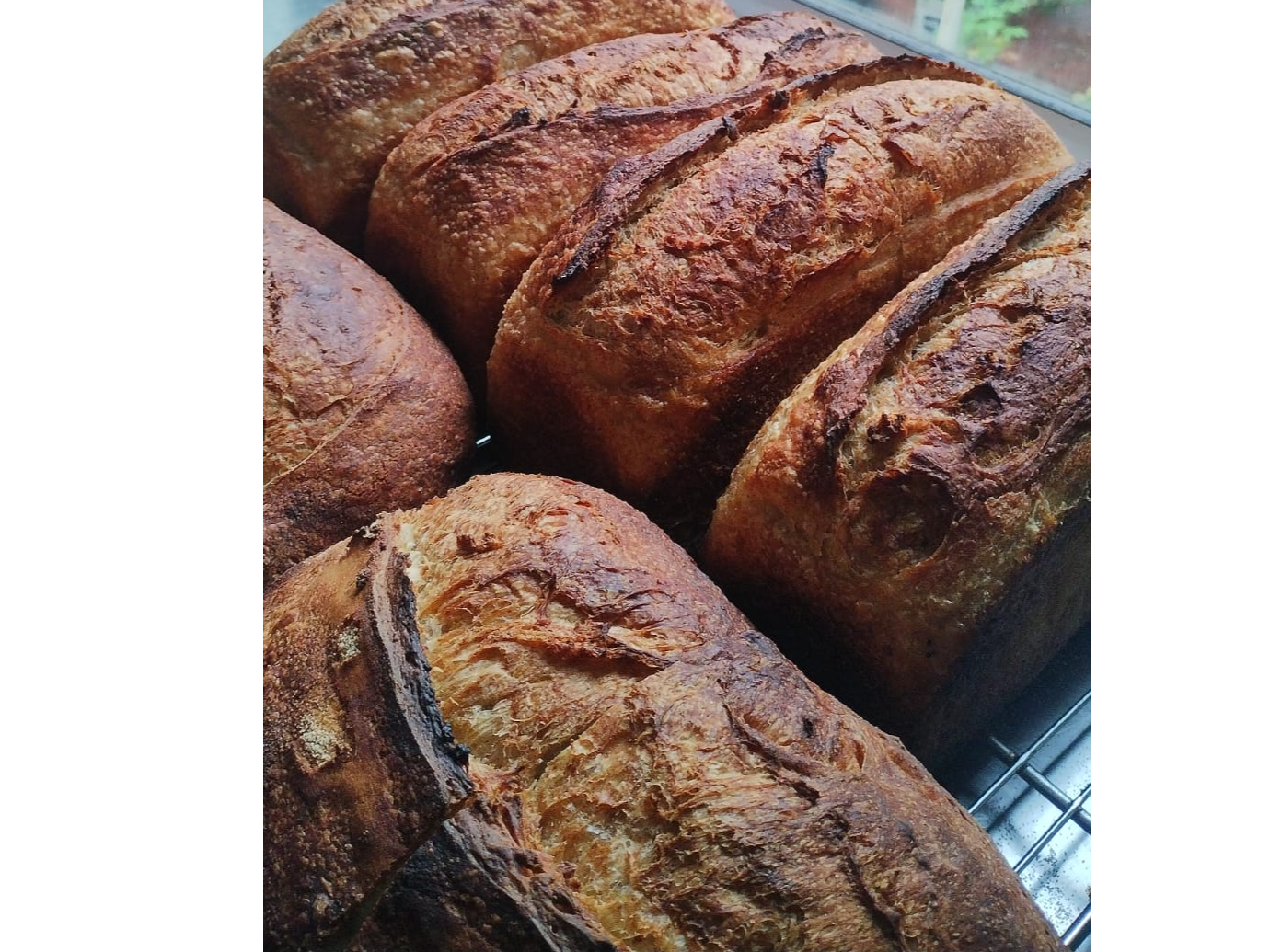 Pan semi integral de masa madre con harina orgánica