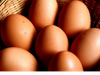 Maple huevos de gallinas pastoriles Granja La Recria