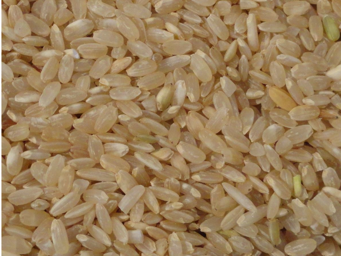 Arroz largo fino integral agroecológico Caupolicán x kilo