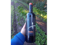 Buenalma Malbec. Vino biodinámico certificado